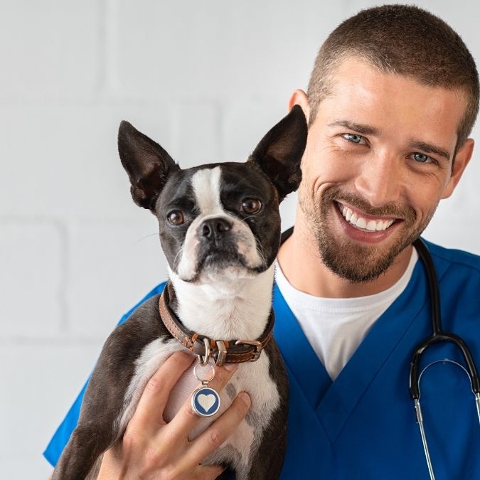 Notet web sitesi önizleme